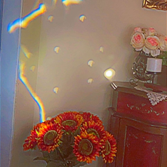 Meet your Posher, Jackqueline - Picture 1 of 1